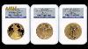 2006-W American Gold Eagle Set Early Release NGC MS-70 Perfect Set